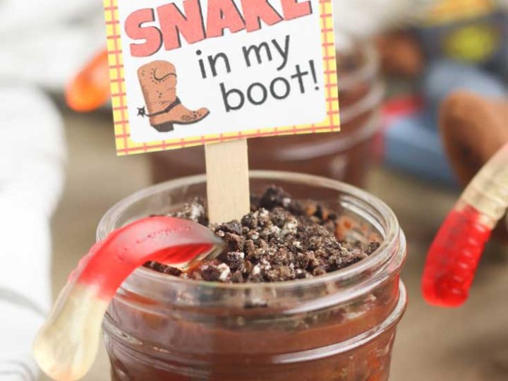 After looking through all the Toy Story party ideas, you can also get some Toy Story party printables free.