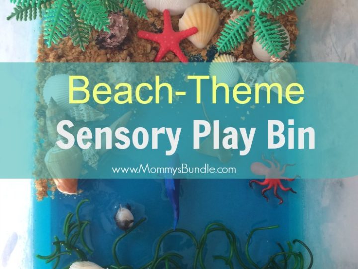 Image for Ocean Beach Sensory Bin Activity