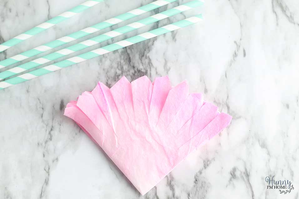 Cut points in each of the petals