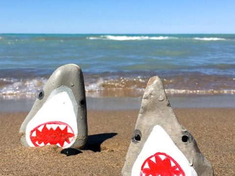 Image for Painted Rocks Sharks