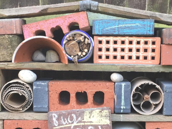 Image for How to build a bug hotel 
