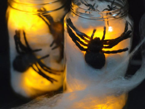 Image for Creepy Crawler Spider Jars