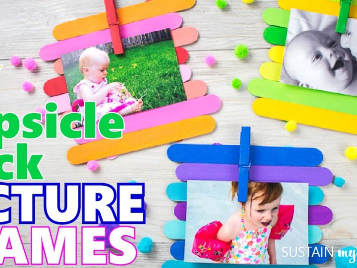 Image for Colorful Popsicle Stick Picture Frames
