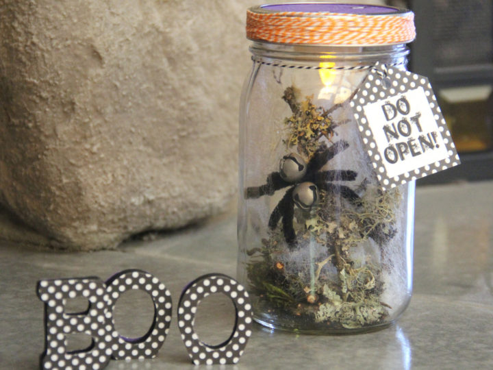 Image for Halloween Spider in a Jar