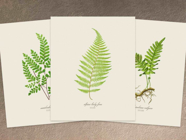 Image for Gorgeous FREE Printable Wall Art