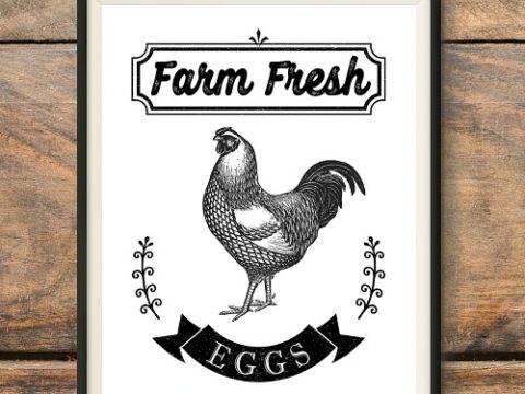 Image for Free Printable Farmhouse Chicken Wall Art