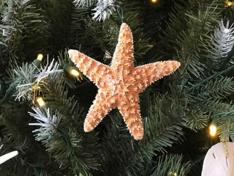 Image for Easy Beach Christmas Ornaments To Make