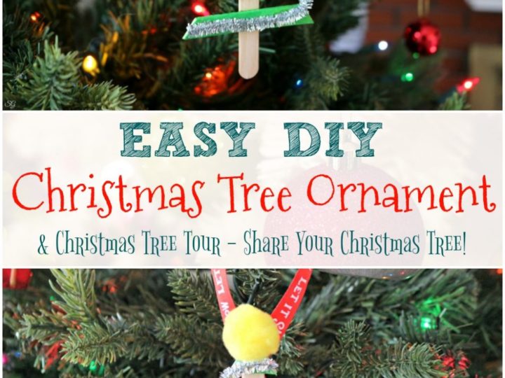 Image for DIY Christmas Tree Ornament & Christmas Tree Tour!