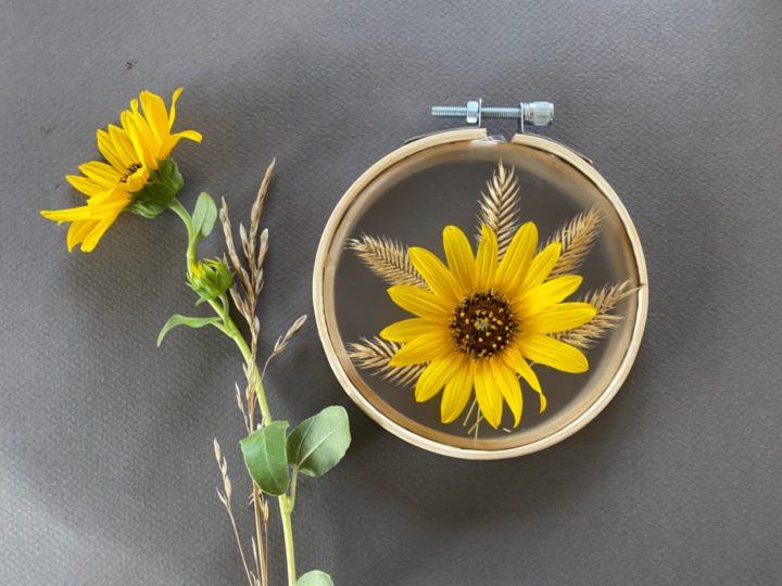 Image for DIY Sunflower Suncatcher Craft For Kids