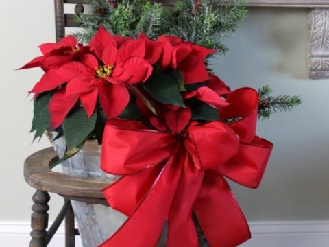 Image for Vintage Chair Christmas Decor