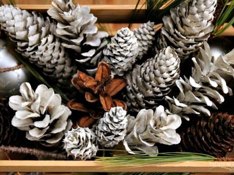 Image for How to Make “Bleached” Pinecones Without Bleach