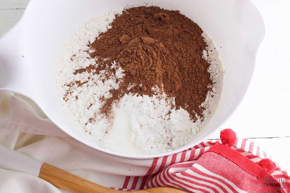chocolate cookies made with peppermint