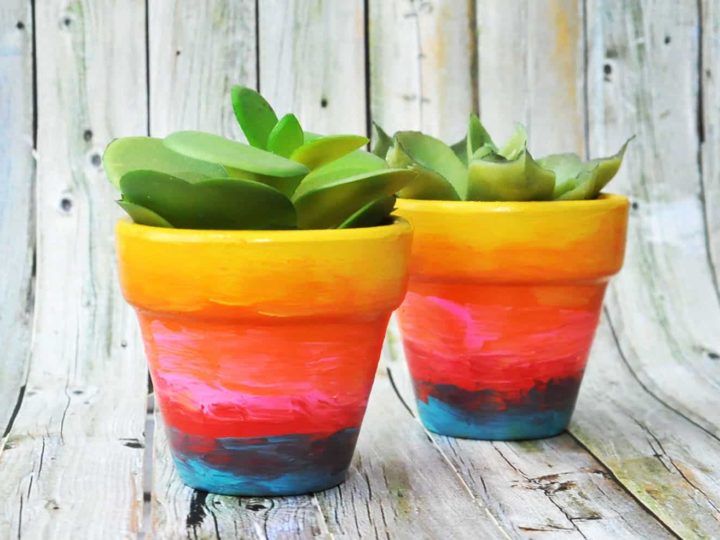 Image for Rainbow Painted Flower Pots for Kids or Adults