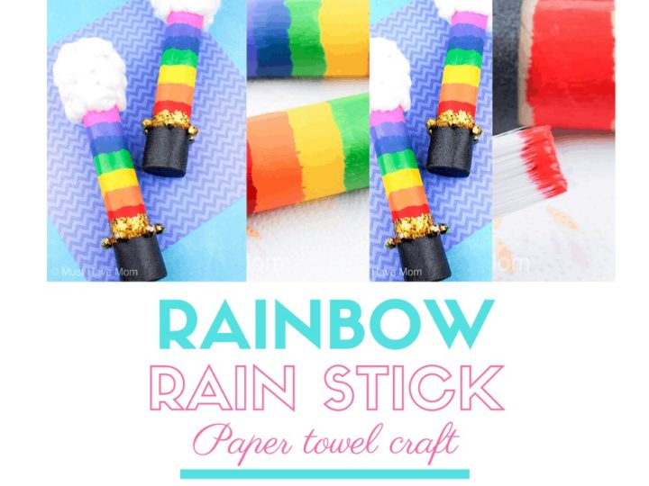 Image for Rain Stick DIY 