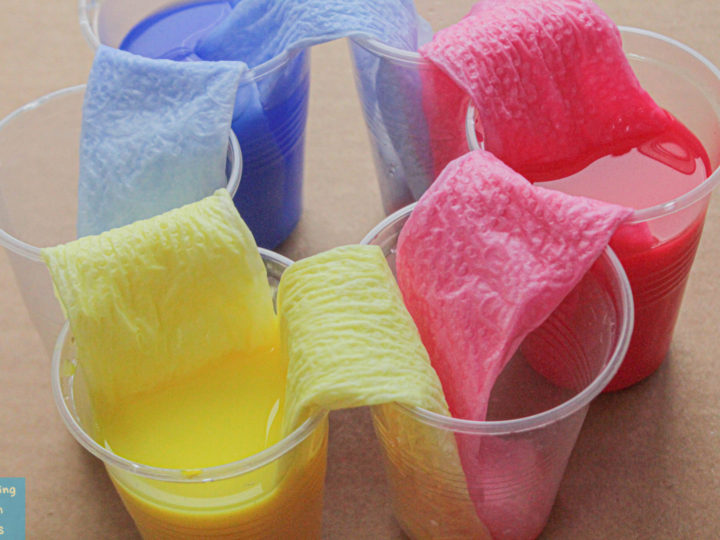 Image for Walking Rainbow Science Experiment; Fun Water Project for Kids