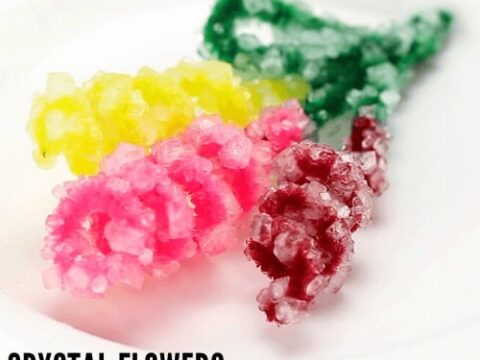 Image for Crystal Flowers Spring Activity