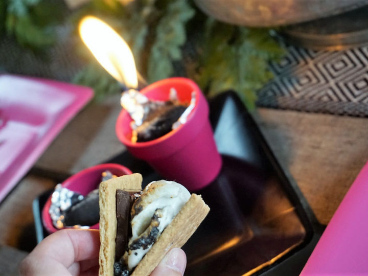 Image for Dollar Store DIY S'more Station 
