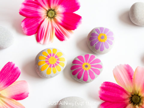 Image for Flower Painted Rocks