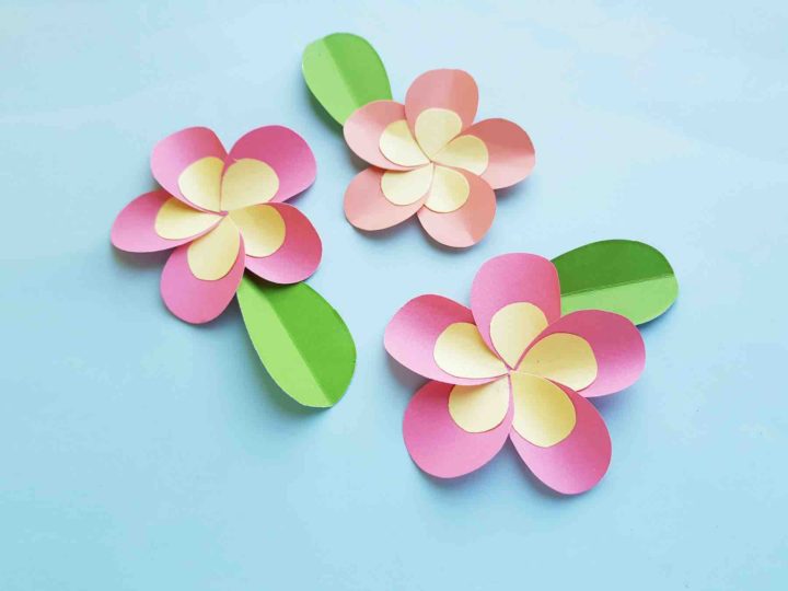 Image for Hawaiian Plumeria Paper Flower Craft