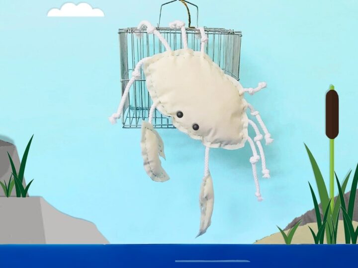 Image for Simple DIY Crab Softie