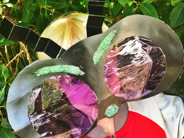 Image for How To Make A Bug Eye Mask