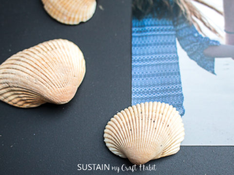 Image for DIY Seashell Magnets