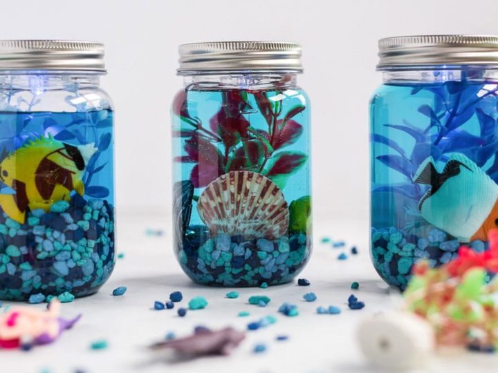 Image for Mason Jar Aquarium