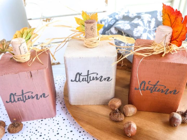 Image for DIY Wooden Pumpkins