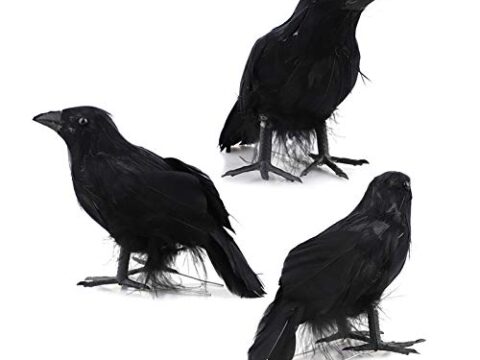 Image for Realistic Handmade Crows 