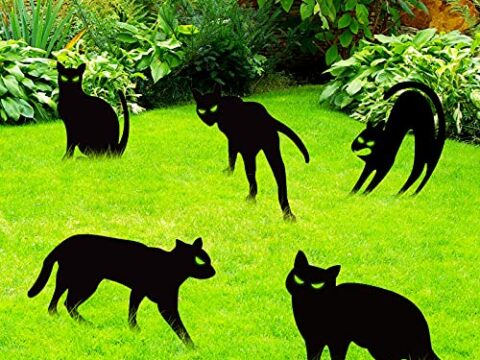 Image for Halloween Cat Decorations 