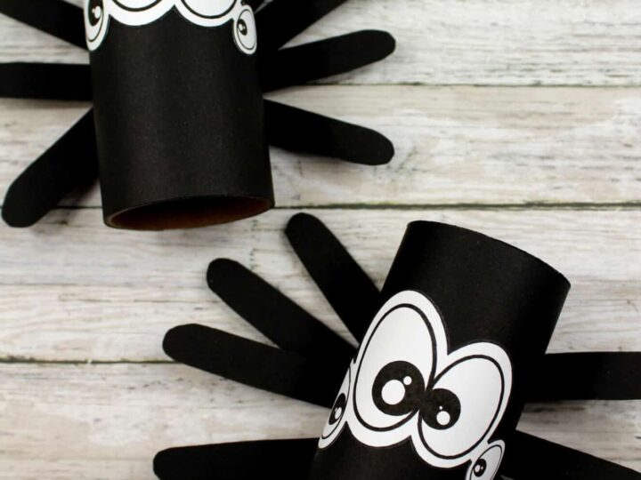 Image for Toilet Tube Halloween Spider Craft For Kids