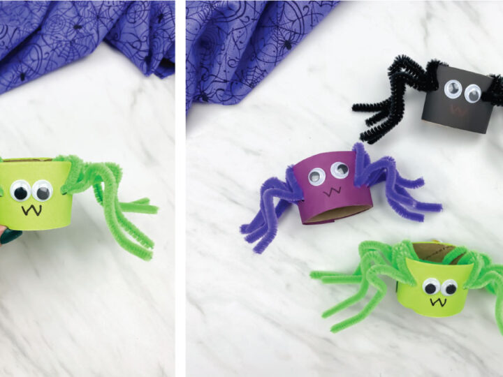 Image for Toilet Paper Roll Pipe Cleaner Spiders