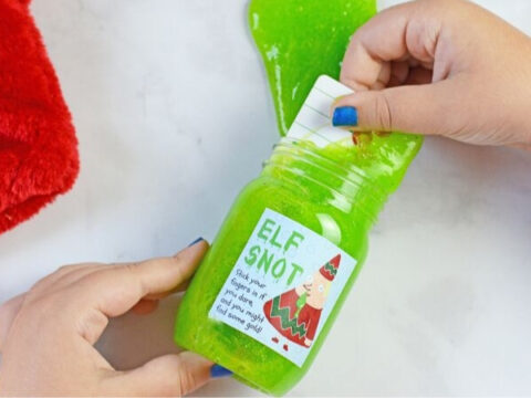 Image for Elf Snot | Christmas Gift Idea for Kids!