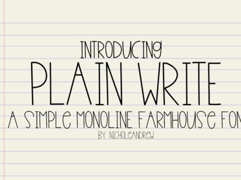 Image for Plain Write 