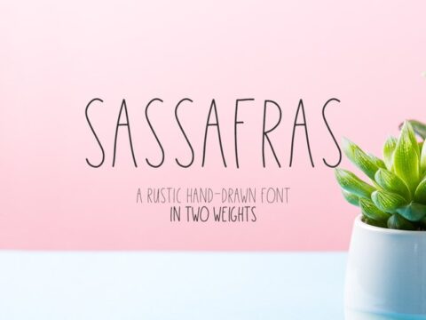 Image for Sassafras Sans 