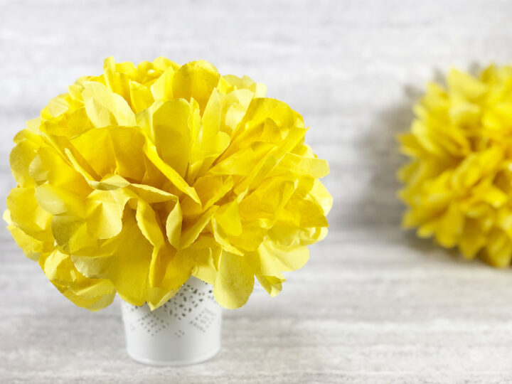 Image for Easy Tissue Paper Flowers for Kids and Adults