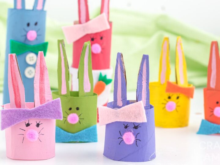 Image for Cardboard Tube Bunny Rabbit Family