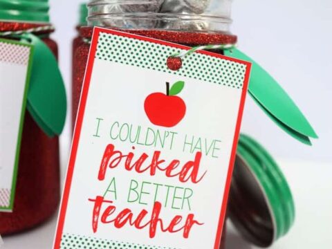 apple teacher gift idea