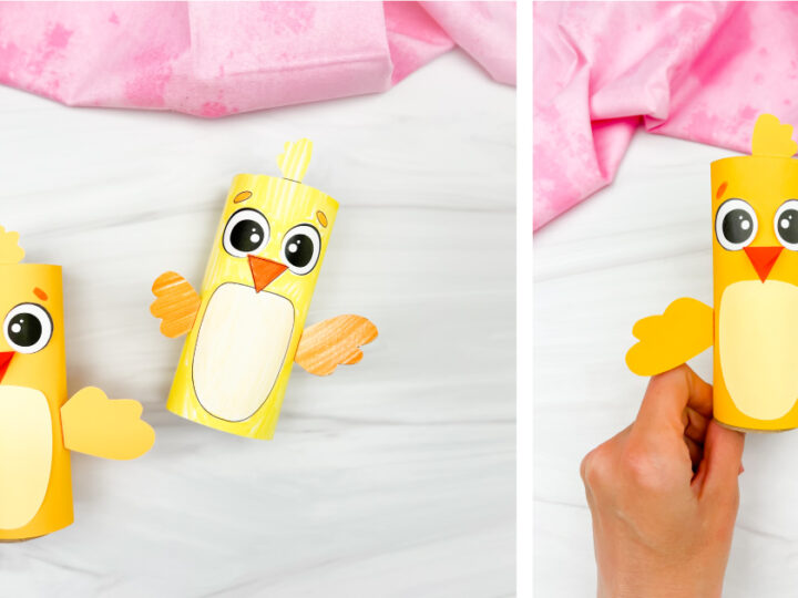Image for Toilet Paper Roll Chick Craft [Free Template]