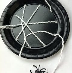 Image for Make a Paper Plate Spiderweb