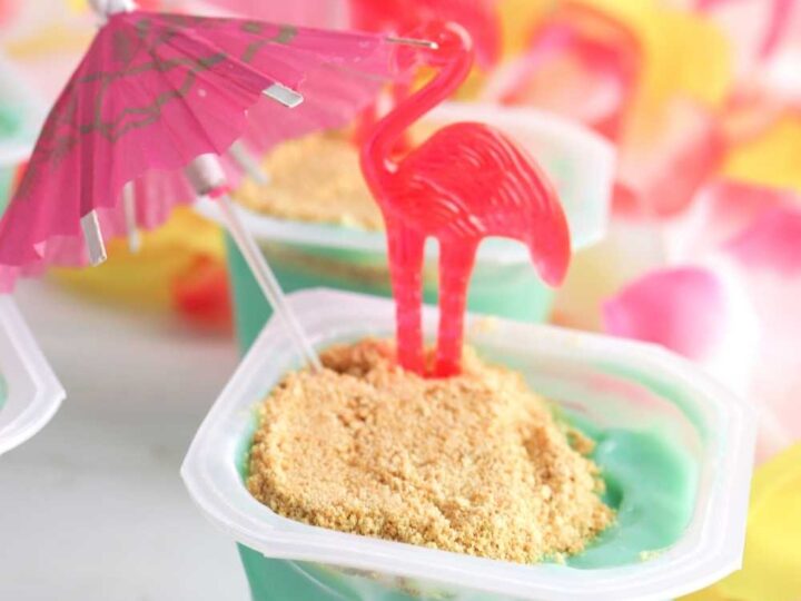 flamingo pudding cups