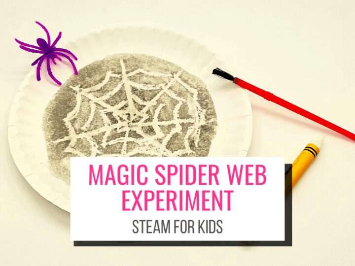 Image for Magic Spider Web Experiment