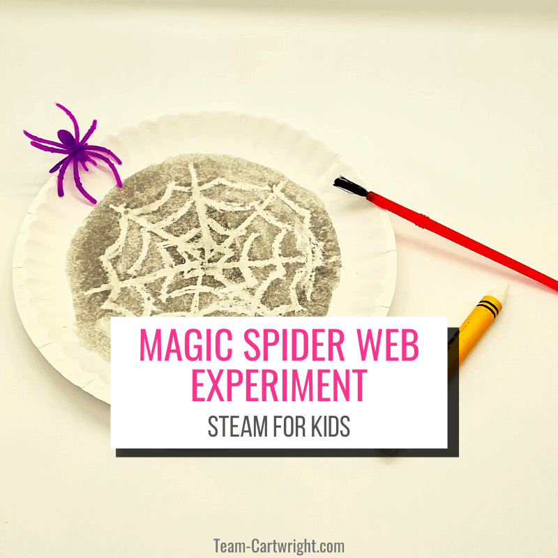 Image for Magic Spider Web Experiment