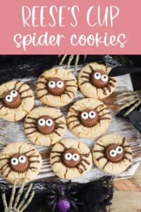 reeses cup spider cookies