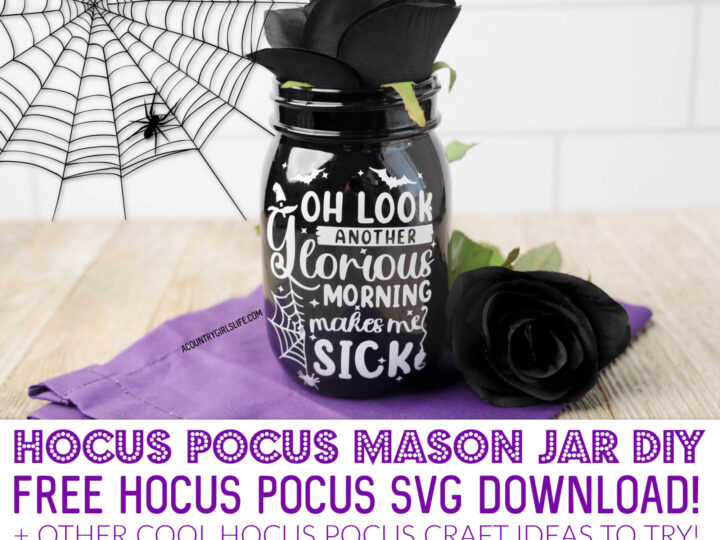 Image for Sanderson Sisters Mason Jar DIY