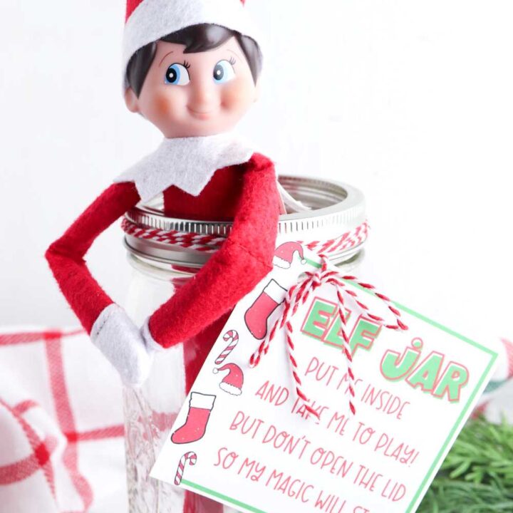 elf on the shelf jar