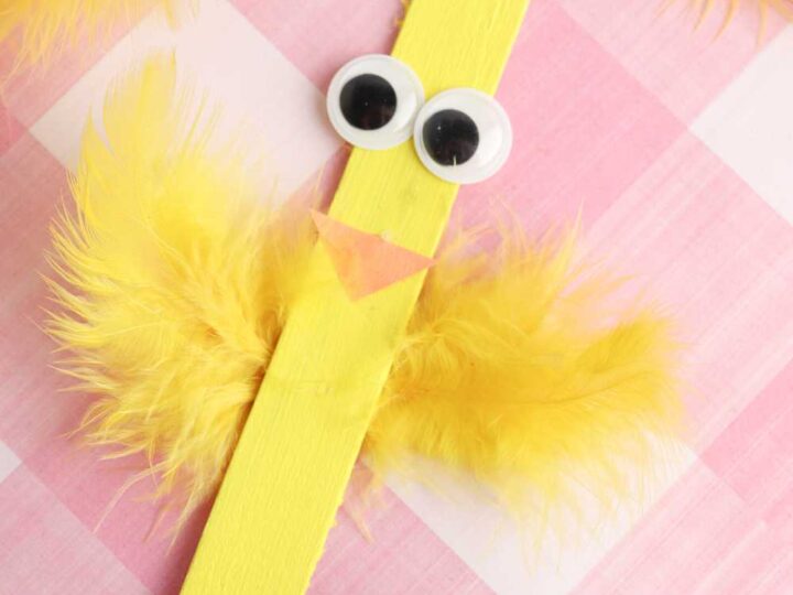 chick craft with popsicle stick