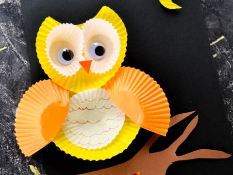 Image for How to Make a Cute Owl Craft with Kids