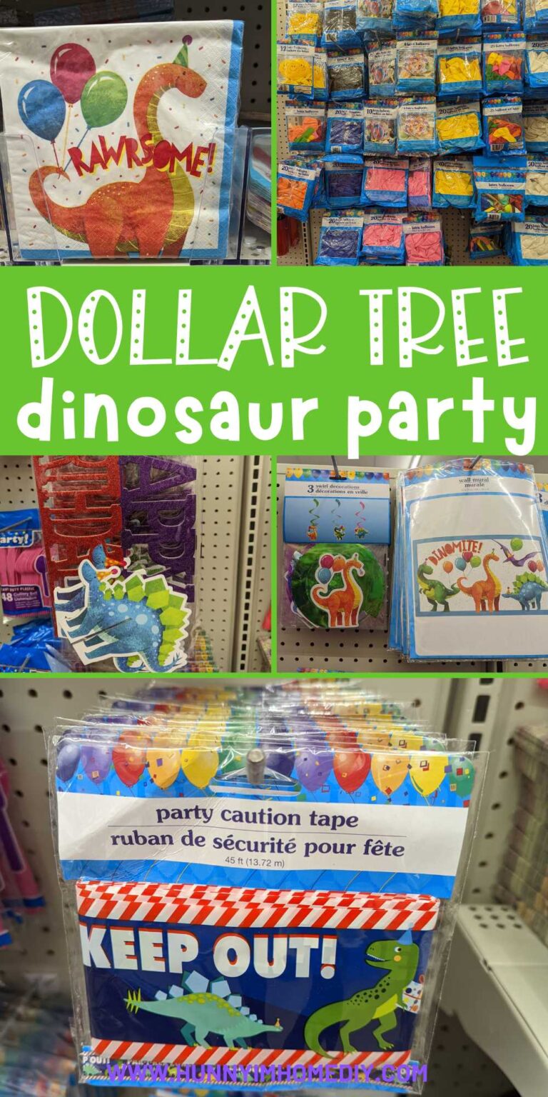 The Best Dollar Tree Dinosaur Party Supplies