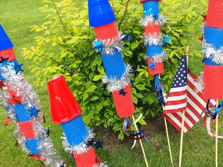 Image for Pool Noodle Firecrackers 